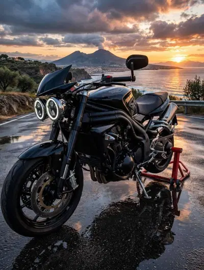 Triumph Speed Triple 1050 (2005 - 11) usata