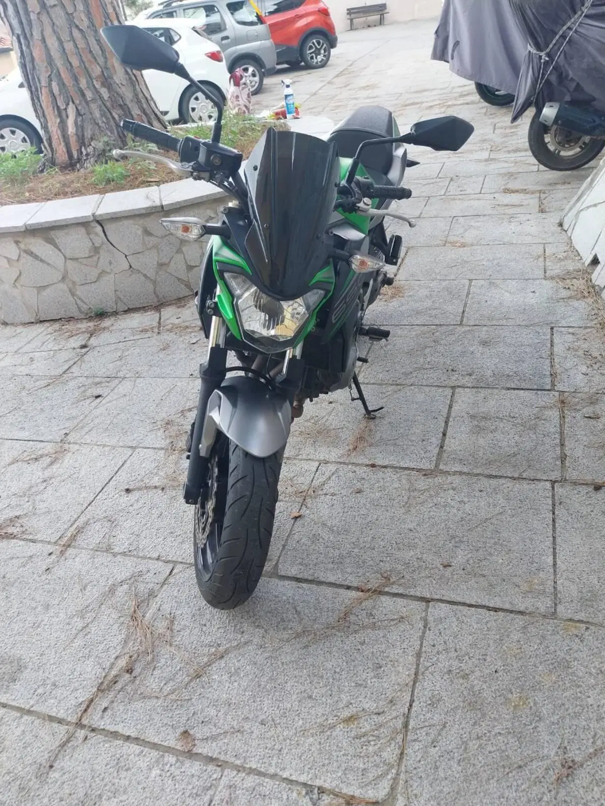 Kawasaki Z 650 (2017 - 19) (3)