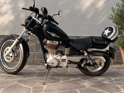 Suzuki LS 650 F (1988 - 89) usata