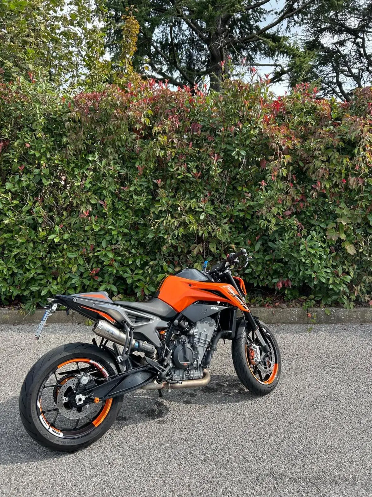 KTM 790 Duke L (2023 - 24) (4)