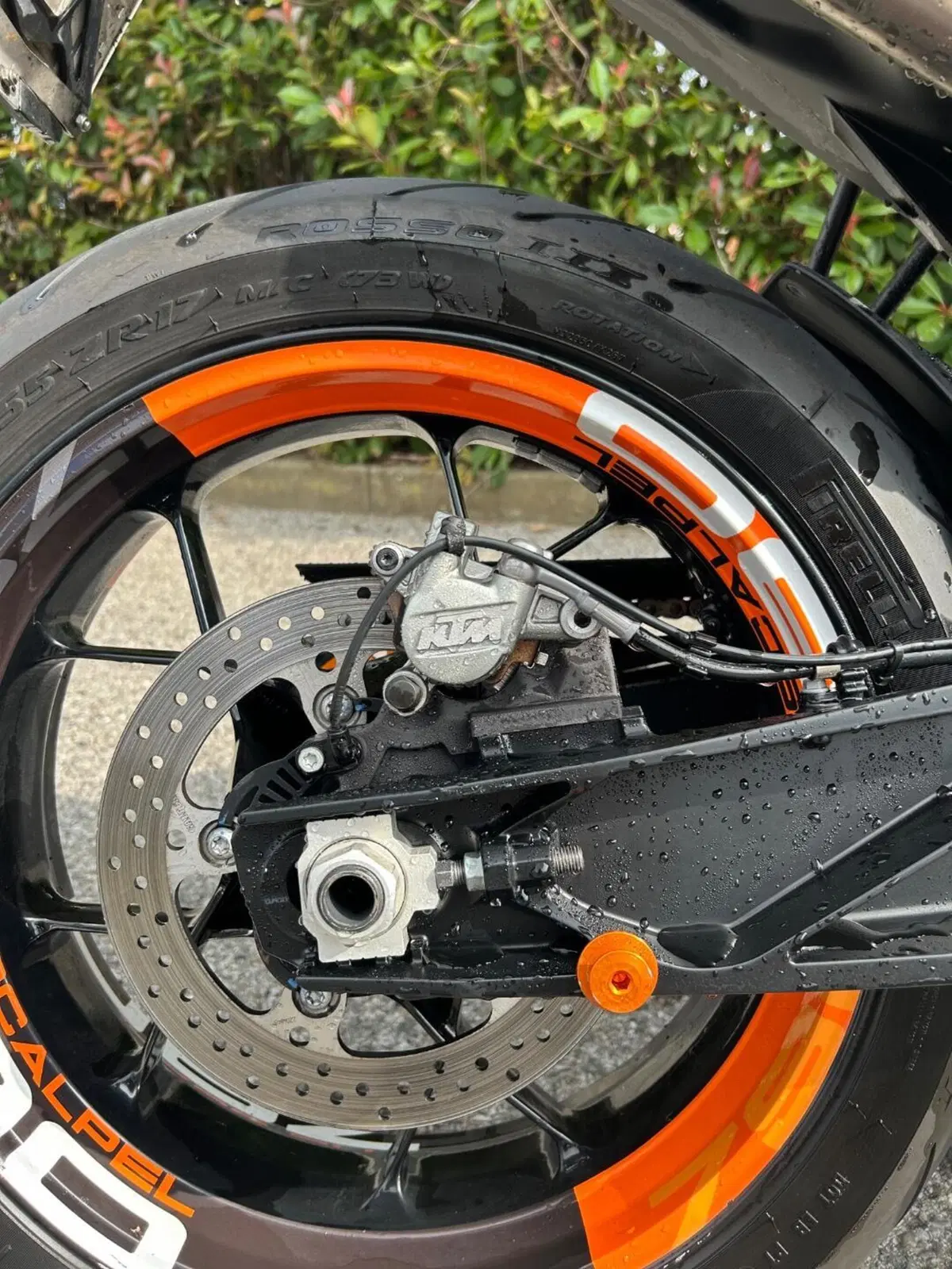 KTM 790 Duke L (2023 - 24) (6)