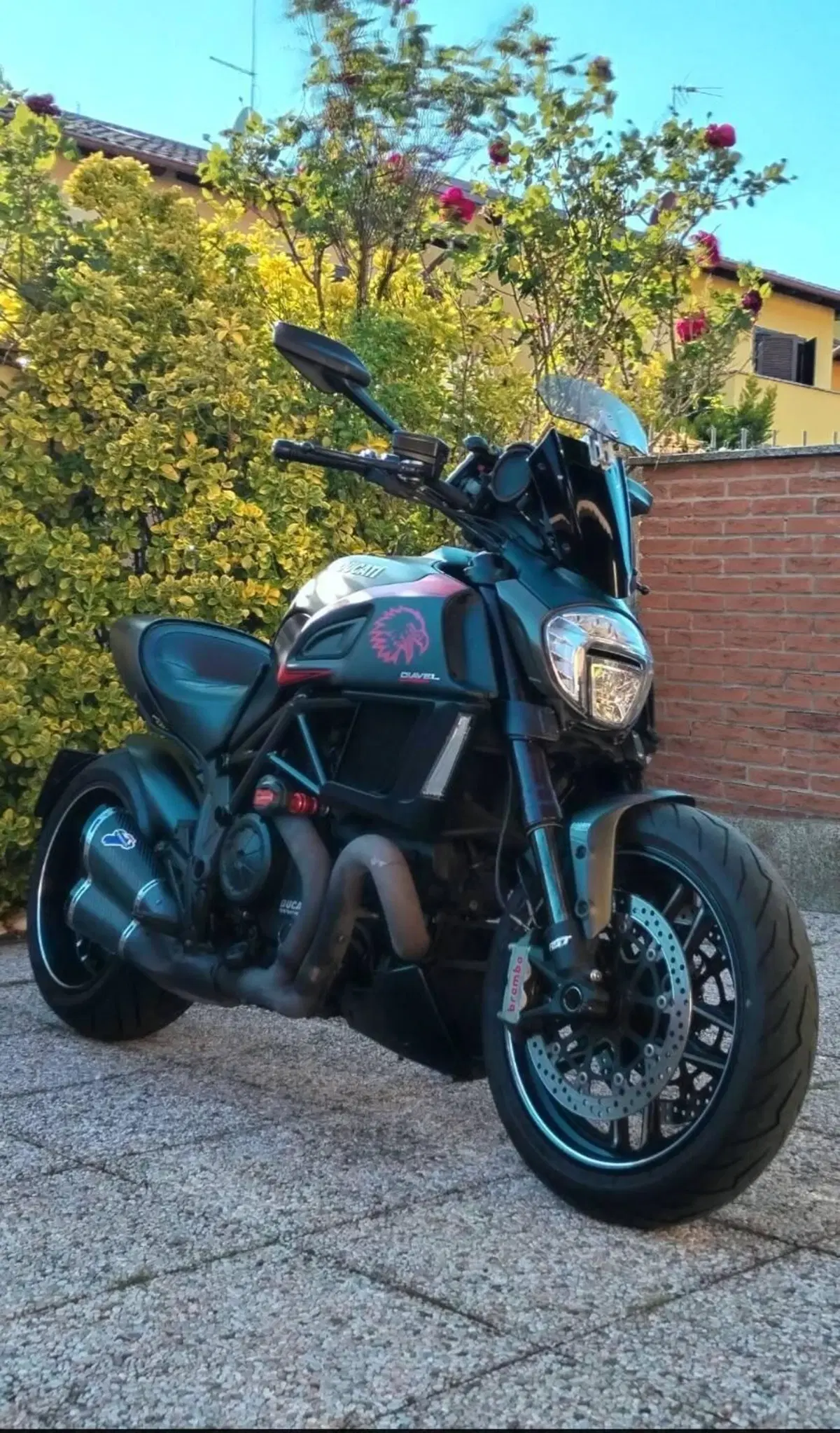 Ducati Diavel 1200 Carbon (2014 - 16) (4)