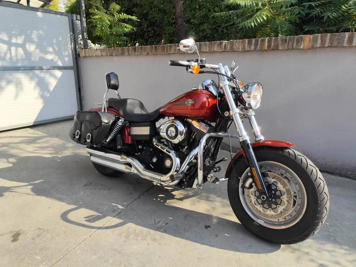 Harley-Davidson 1584 Fat Bob (2007 - 13) - FXDF (2)