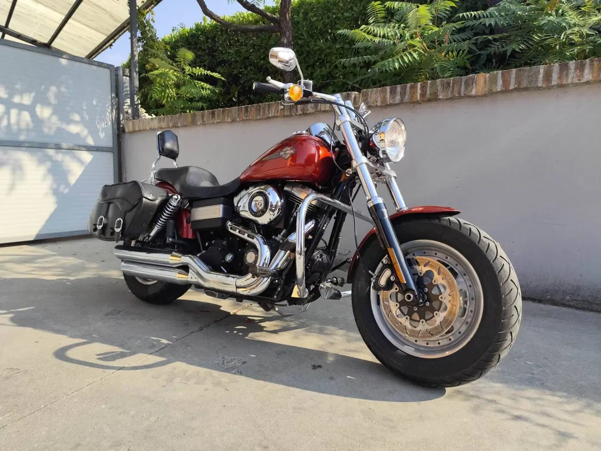Harley-Davidson 1584 Fat Bob (2007 - 13) - FXDF (3)