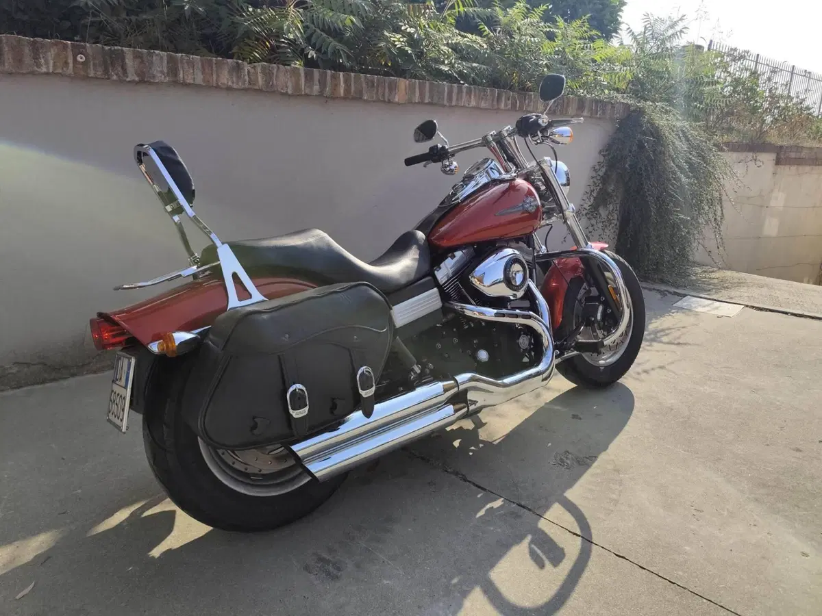 Harley-Davidson 1584 Fat Bob (2007 - 13) - FXDF (6)
