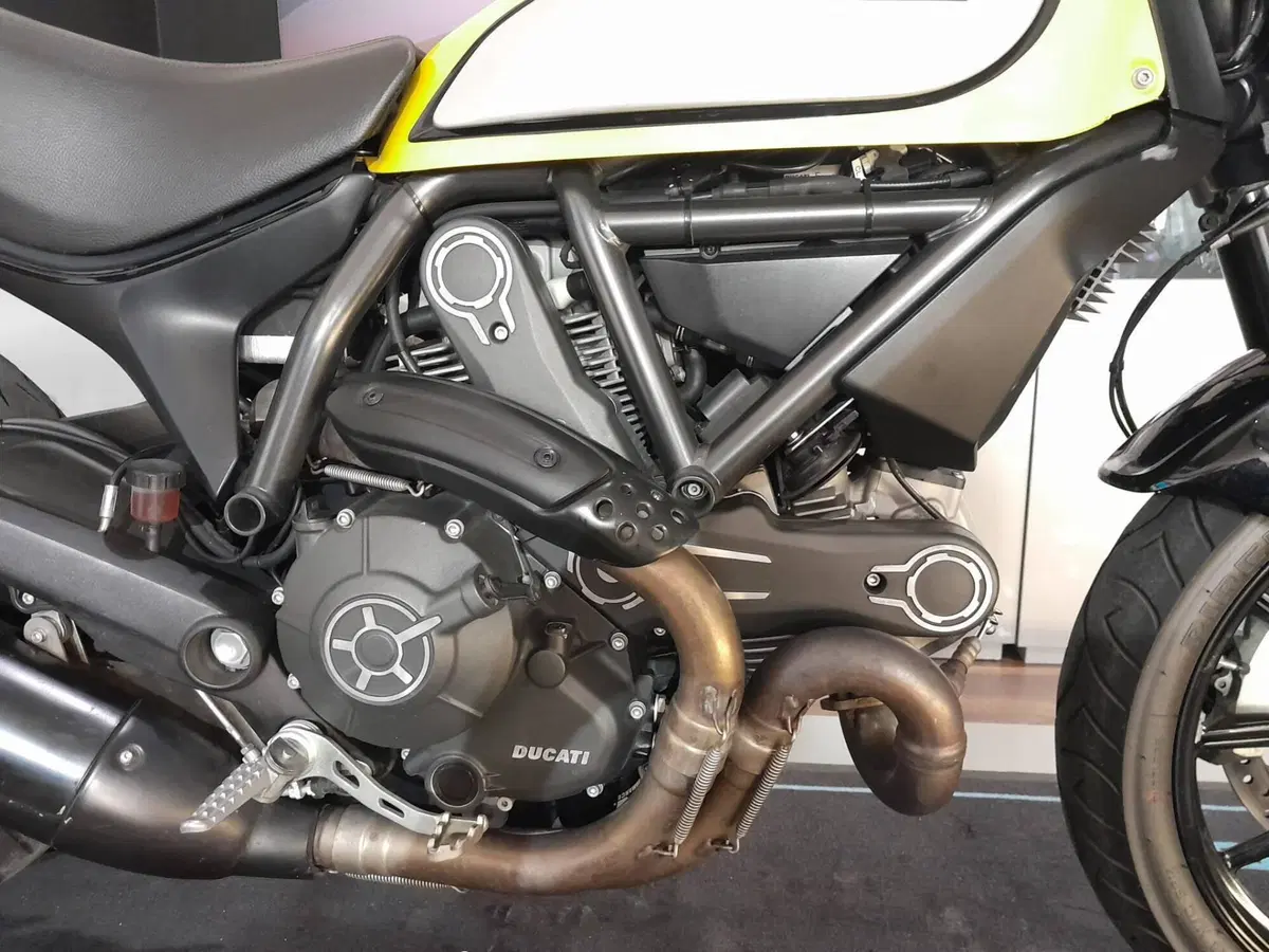 Ducati Scrambler 800 Icon (2015 - 16) (5)