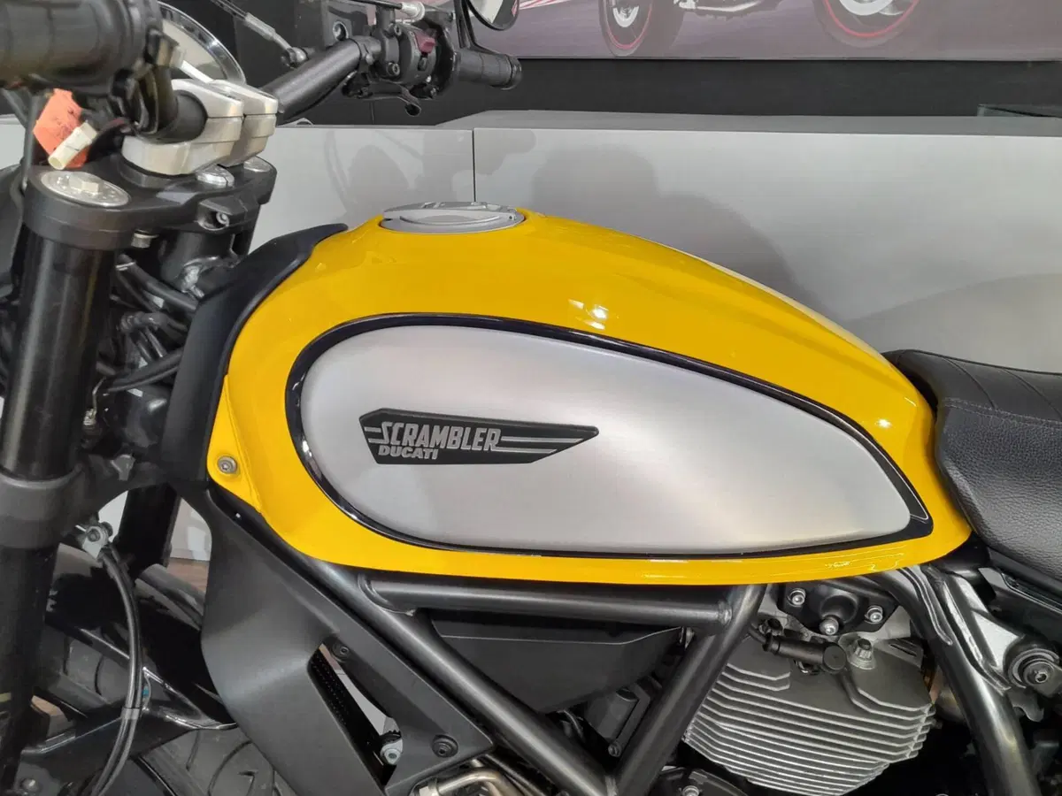 Ducati Scrambler 800 Icon (2015 - 16) (17)