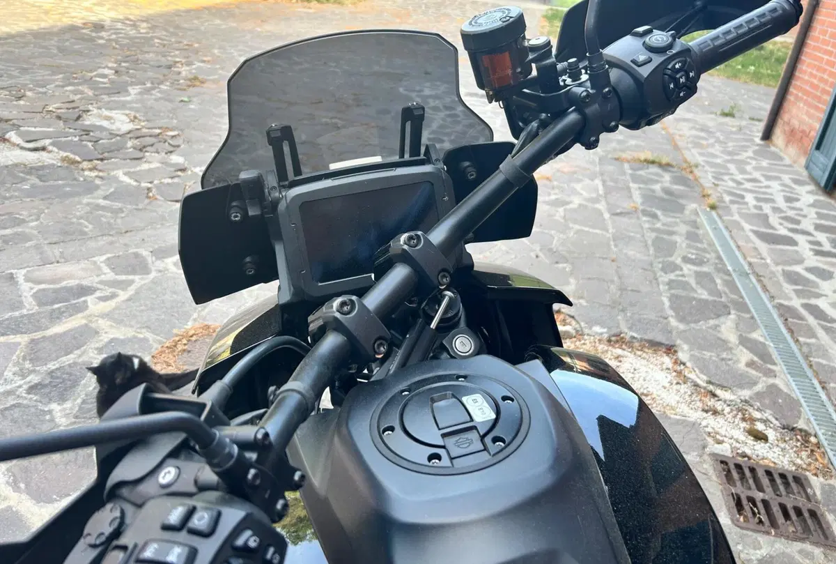 Harley-Davidson Pan America 1250 Special (2020 - 25) (2)