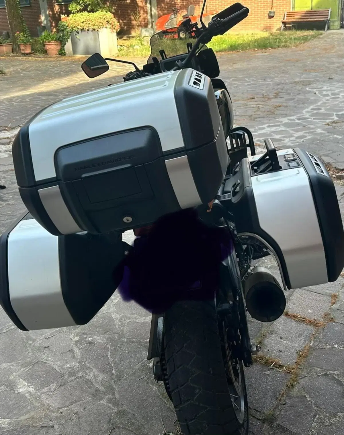 Harley-Davidson Pan America 1250 Special (2020 - 25) (5)