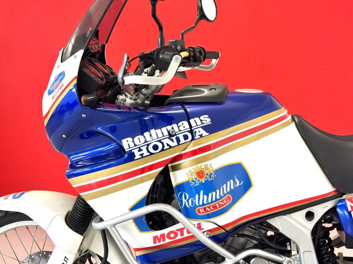 Honda Africa Twin XRV 750 (1996 - 02) (14)