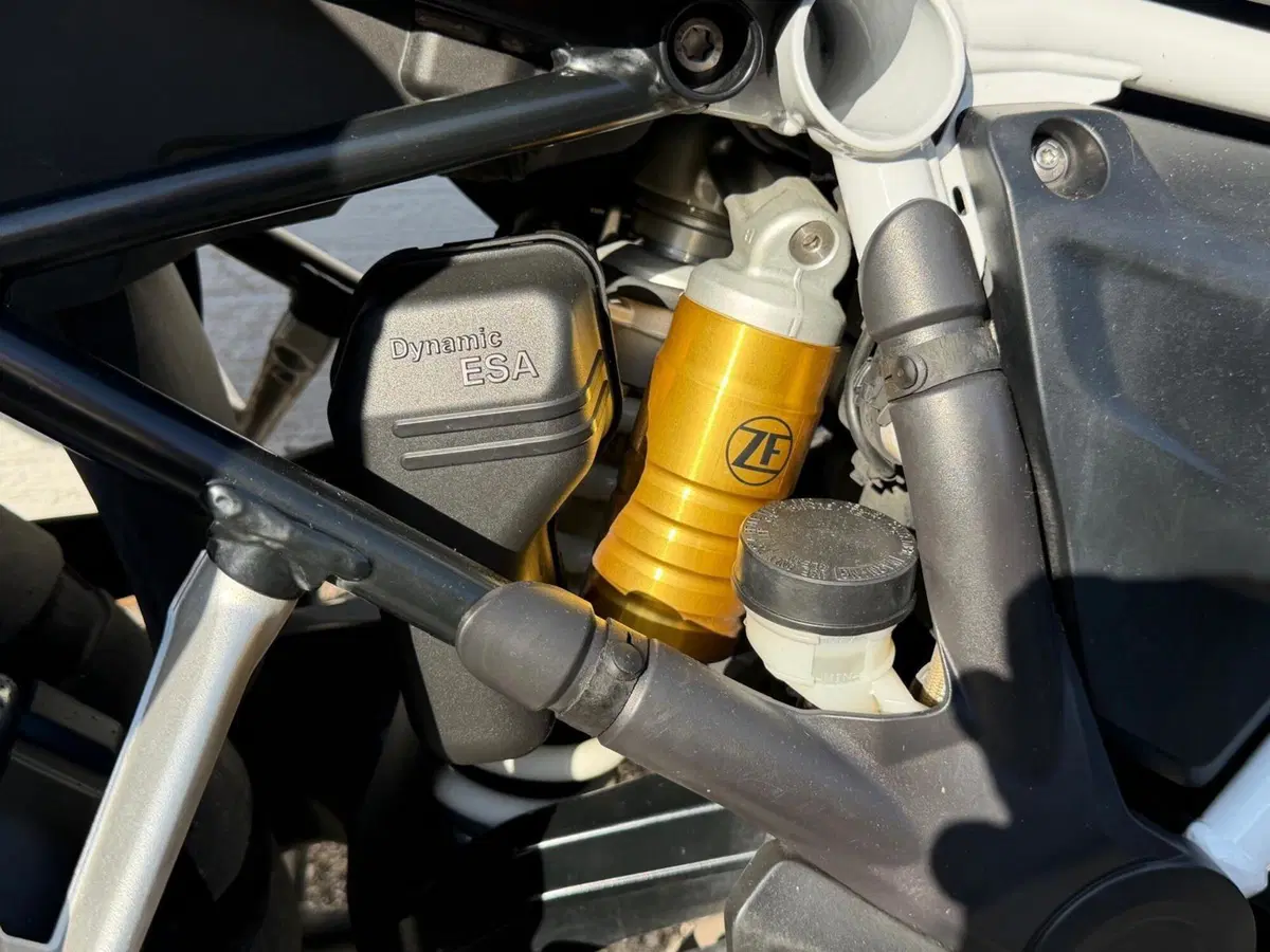 Bmw R 1250 GS (2021 - 24) (6)