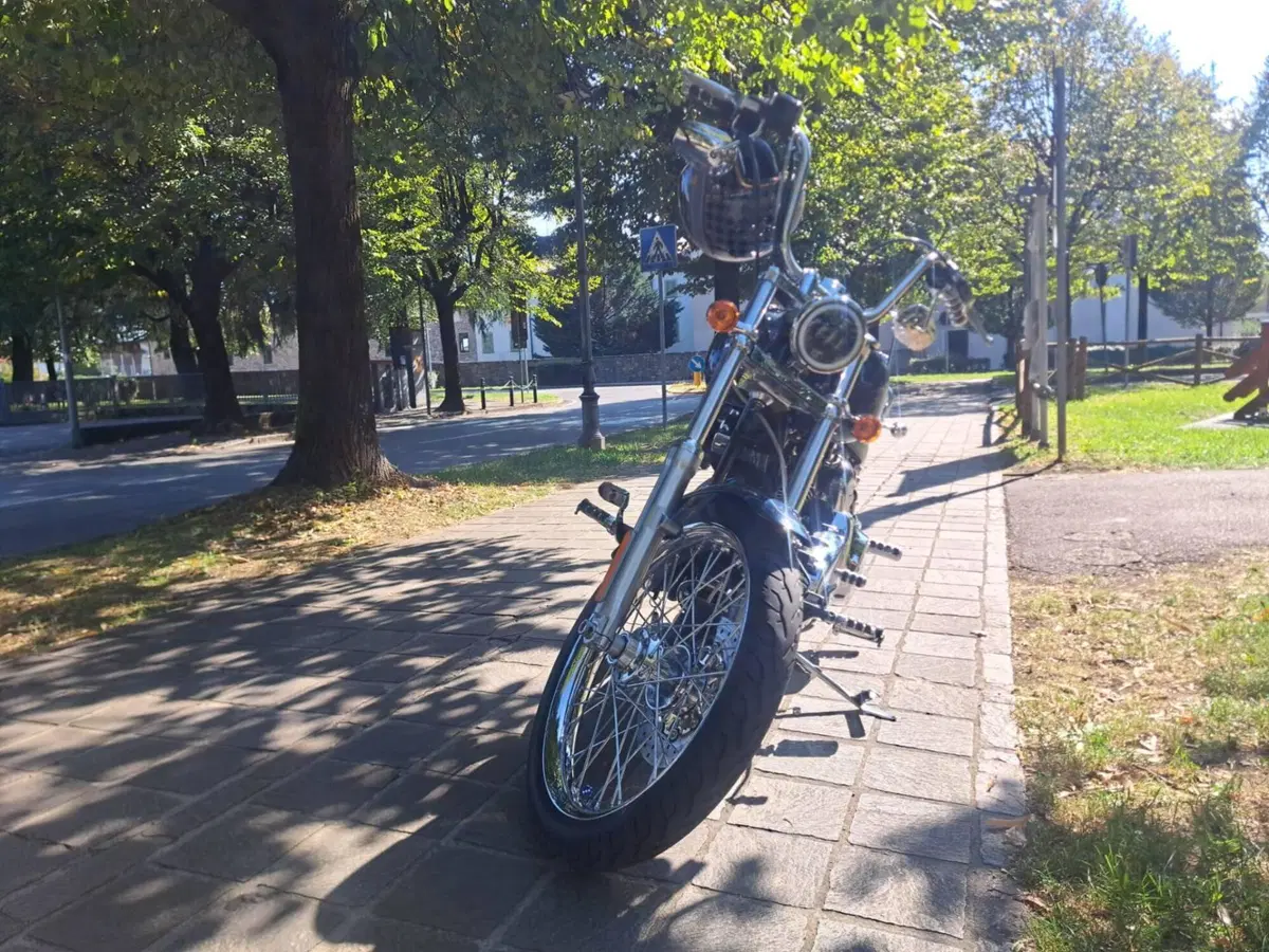 Harley-Davidson 1584 Custom (2008 - 09) - FXSTC