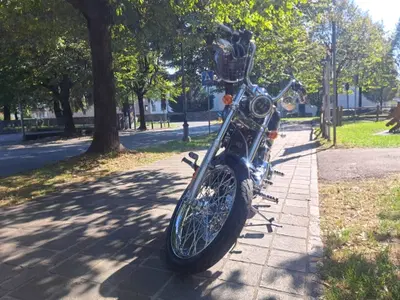 Harley-Davidson 1584 Custom (2008 - 09) - FXSTC usata
