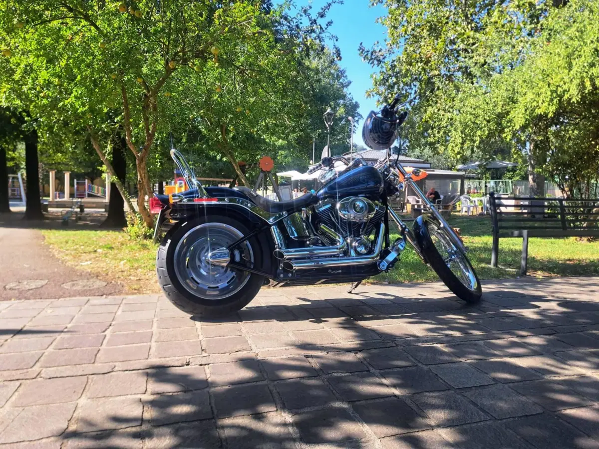 Harley-Davidson 1584 Custom (2008 - 09) - FXSTC (2)