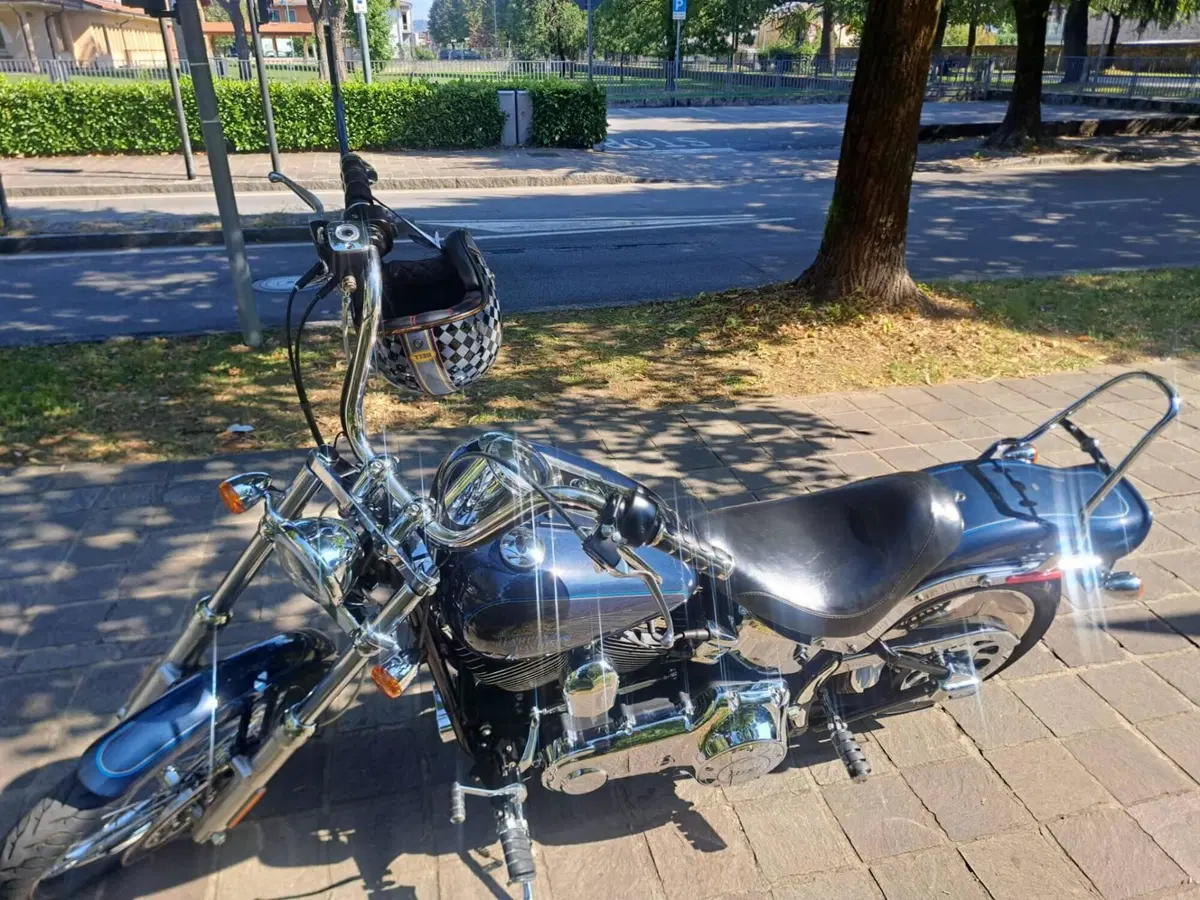 Harley-Davidson 1584 Custom (2008 - 09) - FXSTC (3)