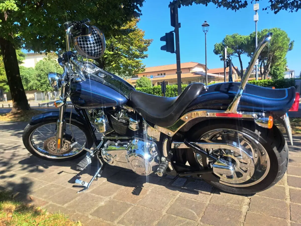 Harley-Davidson 1584 Custom (2008 - 09) - FXSTC (4)