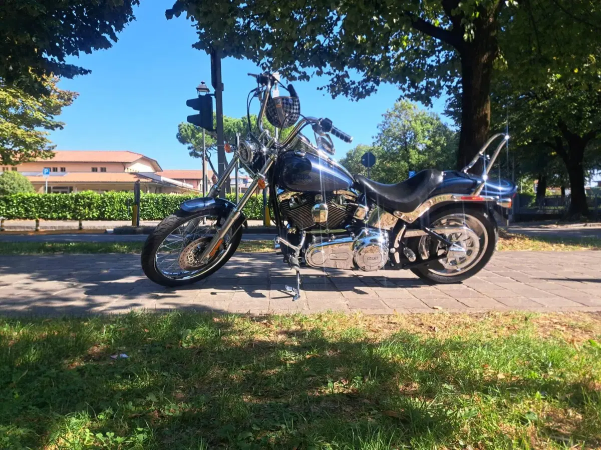 Harley-Davidson 1584 Custom (2008 - 09) - FXSTC (5)