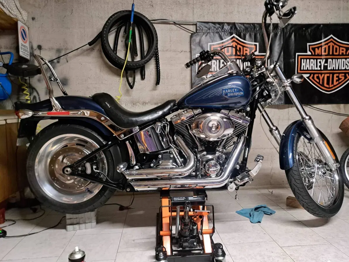 Harley-Davidson 1584 Custom (2008 - 09) - FXSTC (6)