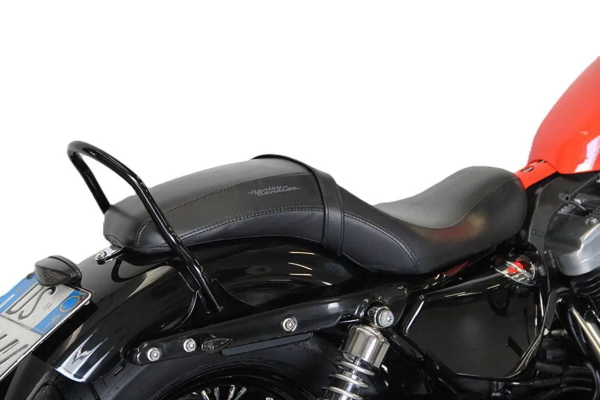Harley-Davidson 1200 Forty-Eight (2010 - 15) (4)