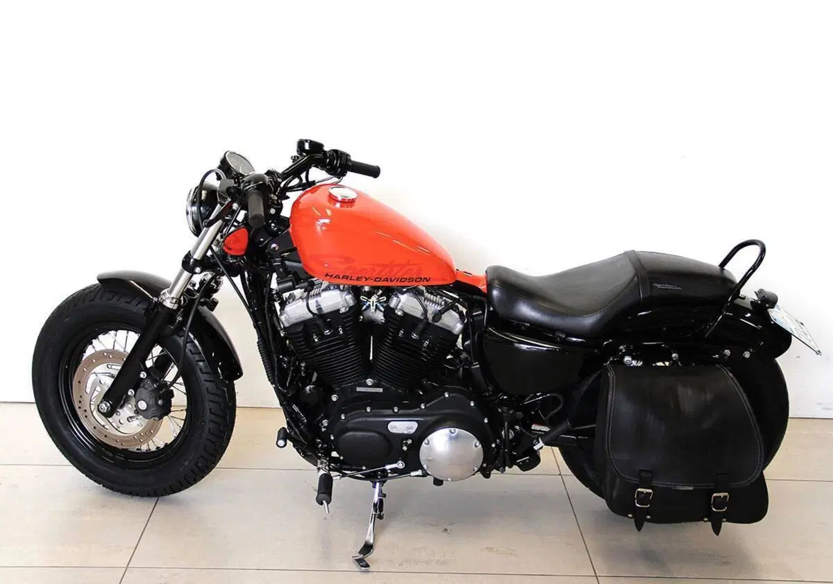 Harley-Davidson 1200 Forty-Eight (2010 - 15) (11)
