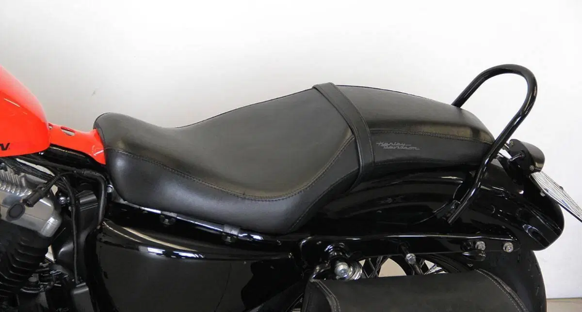 Harley-Davidson 1200 Forty-Eight (2010 - 15) (13)