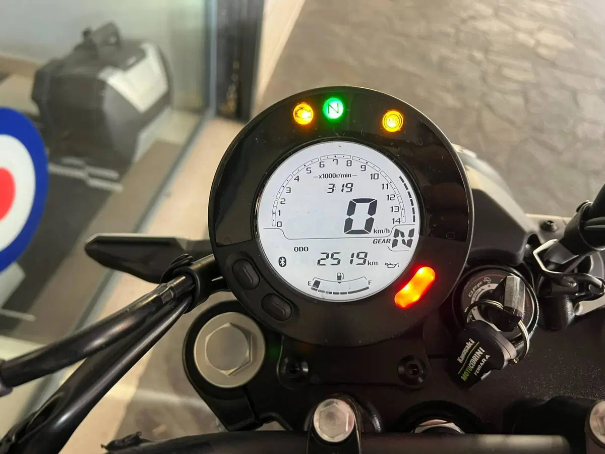 Kawasaki Eliminator 500 (2024 - 27) (4)