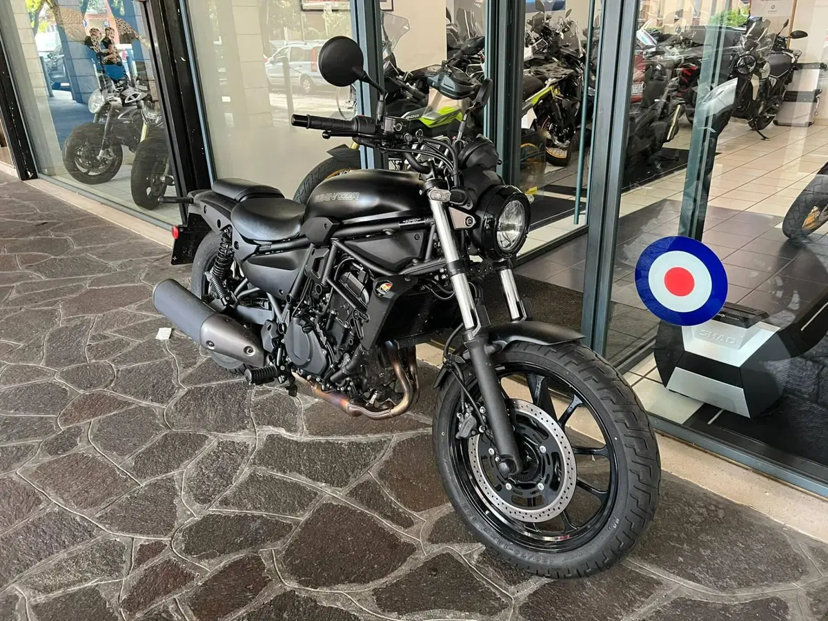 Kawasaki Eliminator 500 (2024 - 27) (2)