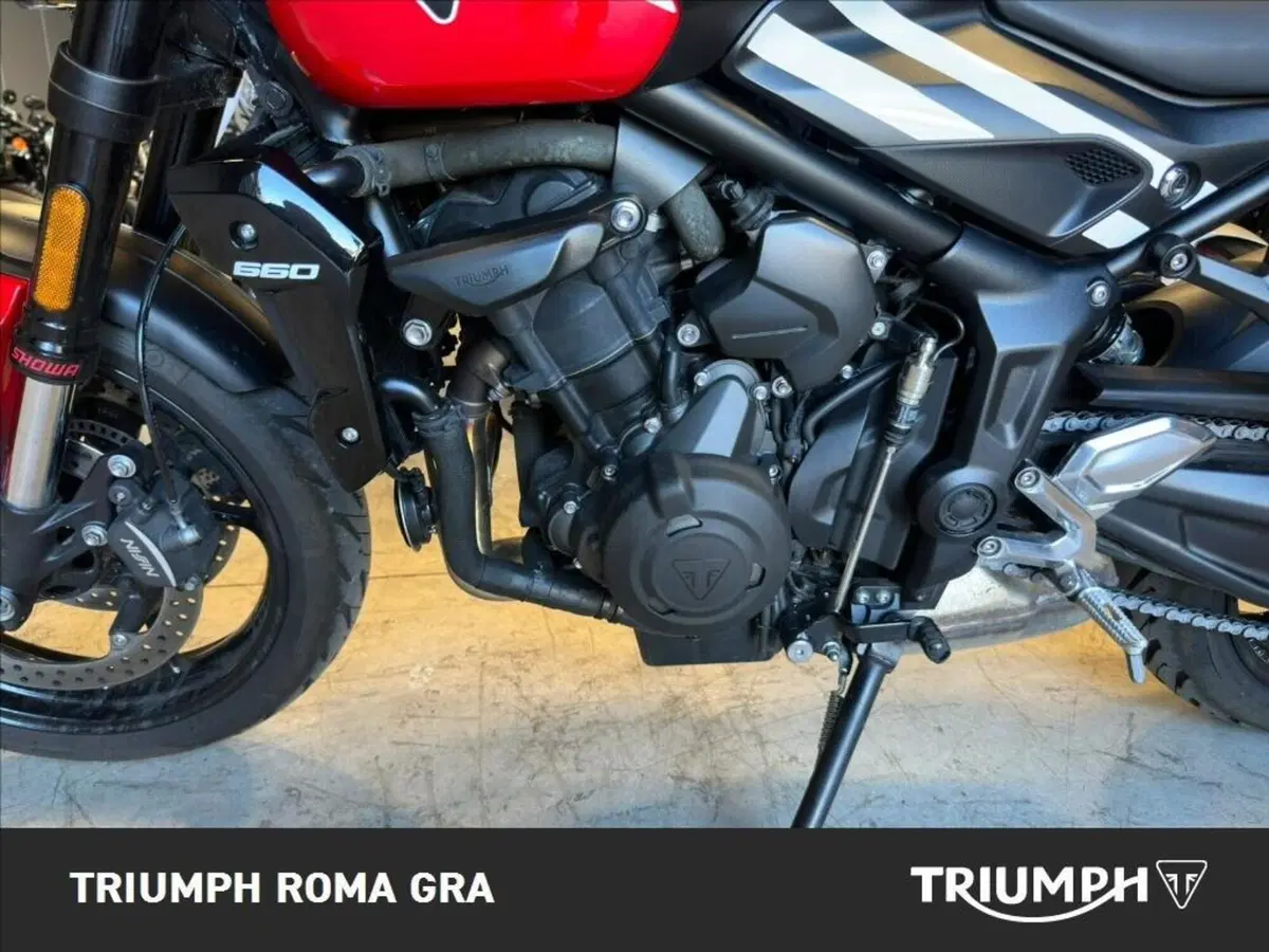 Triumph Trident 660 (2026) (13)
