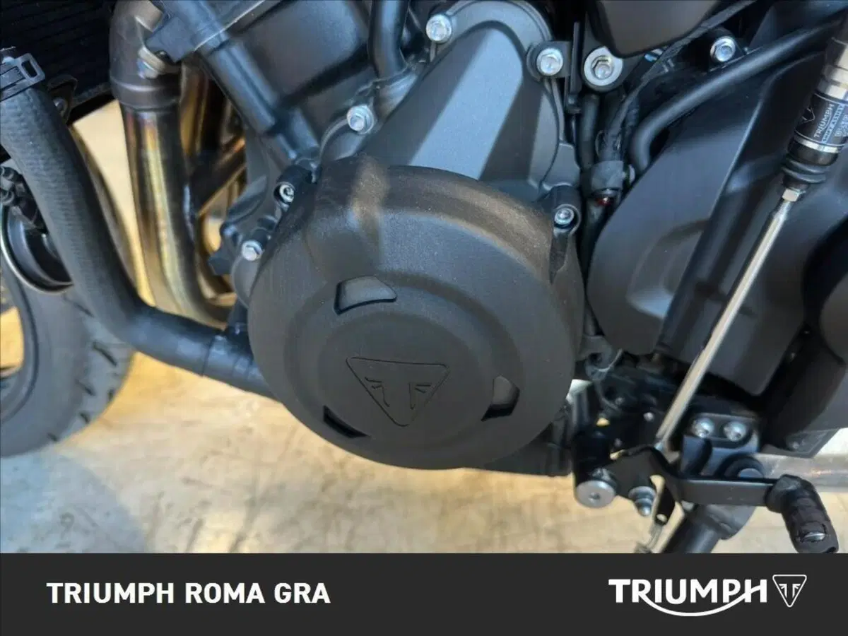Triumph Trident 660 (2026) (18)