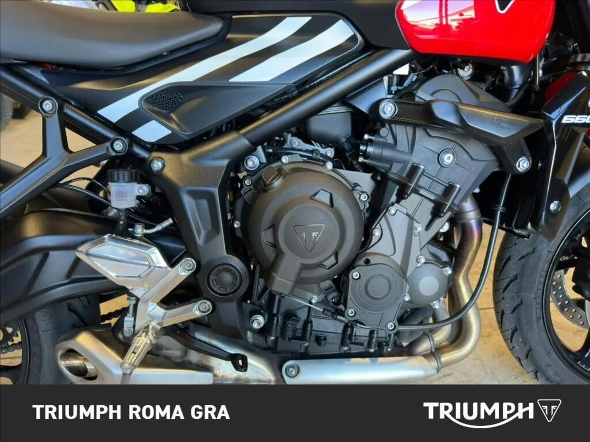 Triumph Trident 660 (2026) (10)