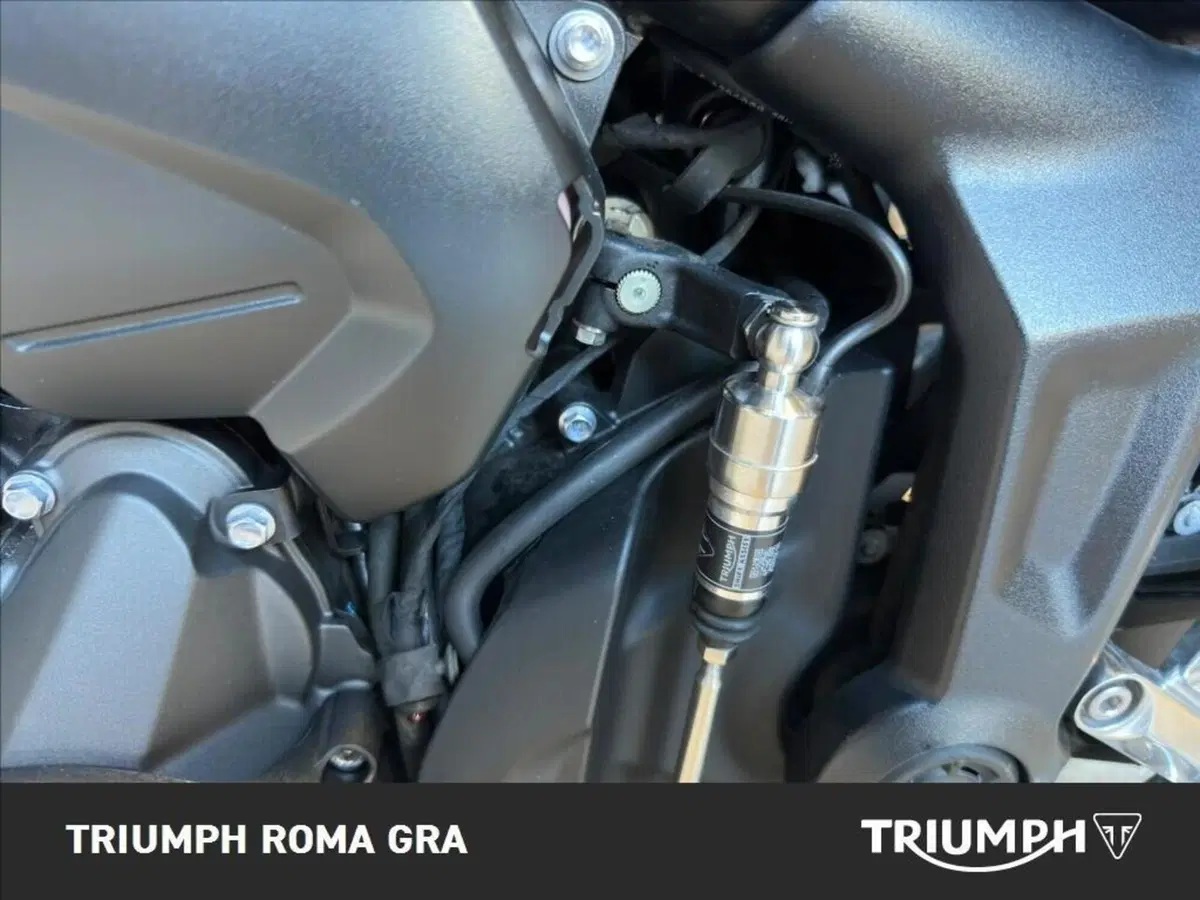 Triumph Trident 660 (2026) (19)