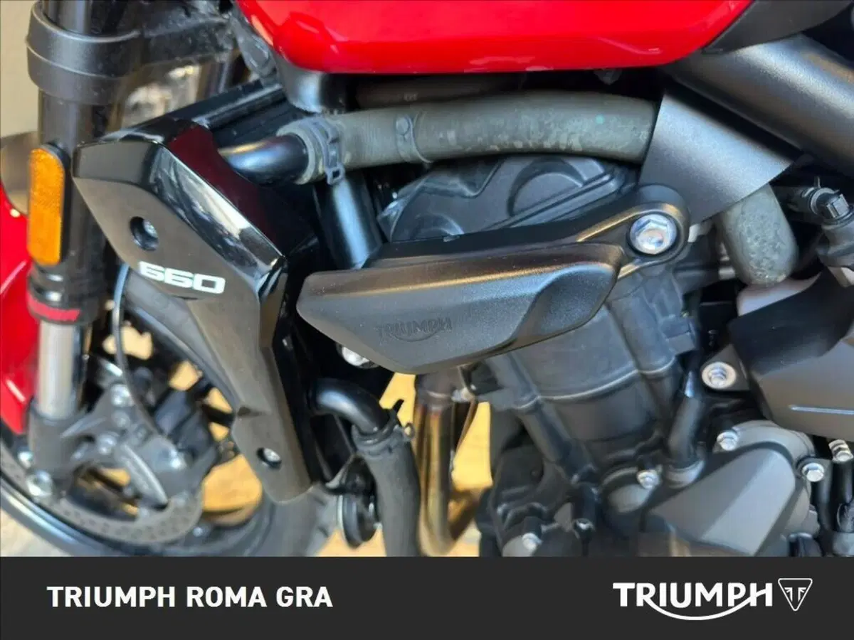 Triumph Trident 660 (2026) (20)