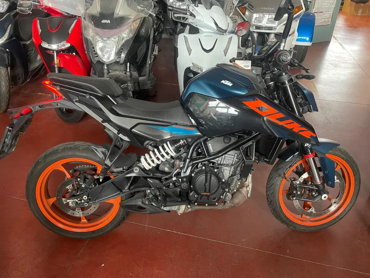 KTM 125 Duke (2024 - 25)