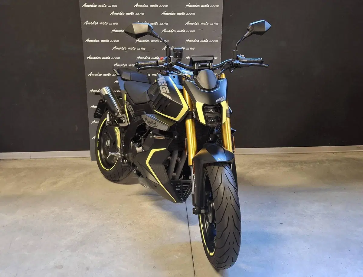 FB Mondial Piega 452 (2024) (2)