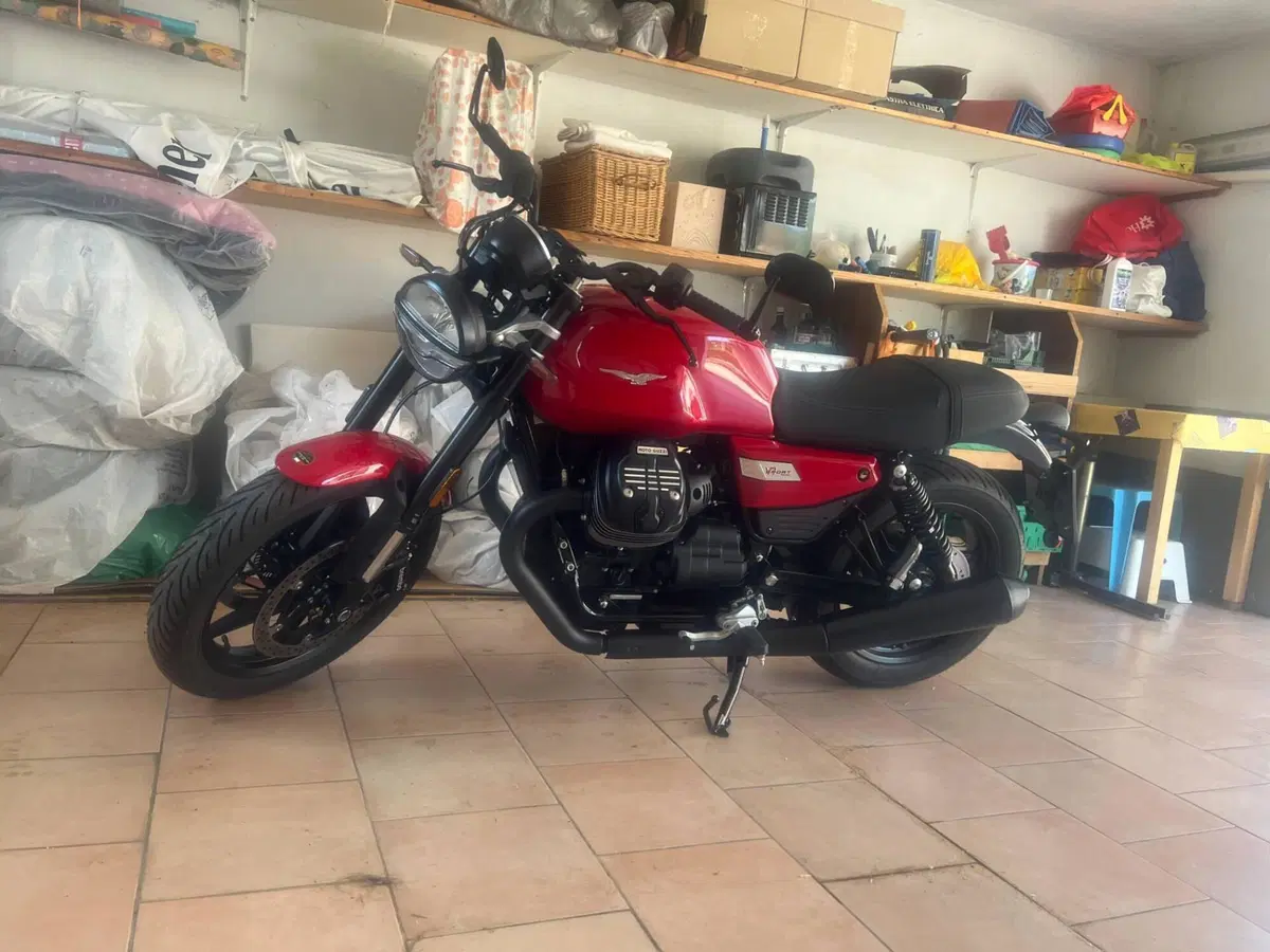 Moto Guzzi V7 Sport (2025 - 26) (4)