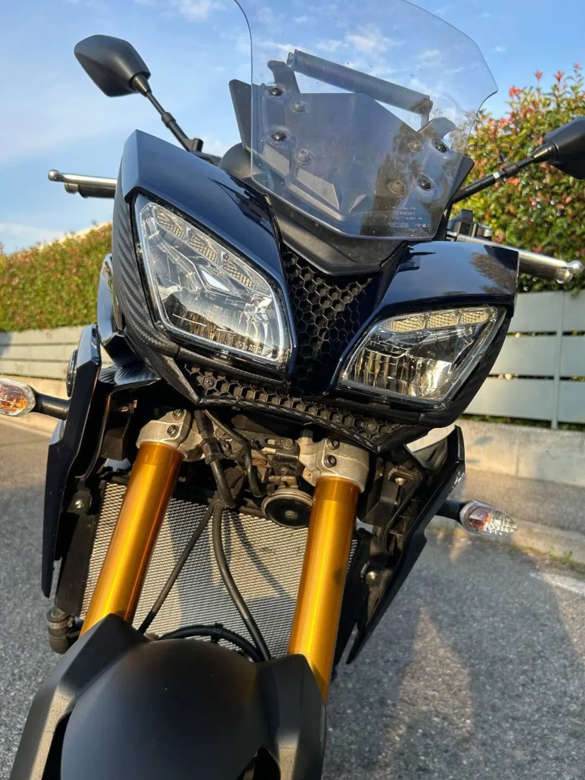 Yamaha Tracer 900 ABS (2015 - 16) (8)