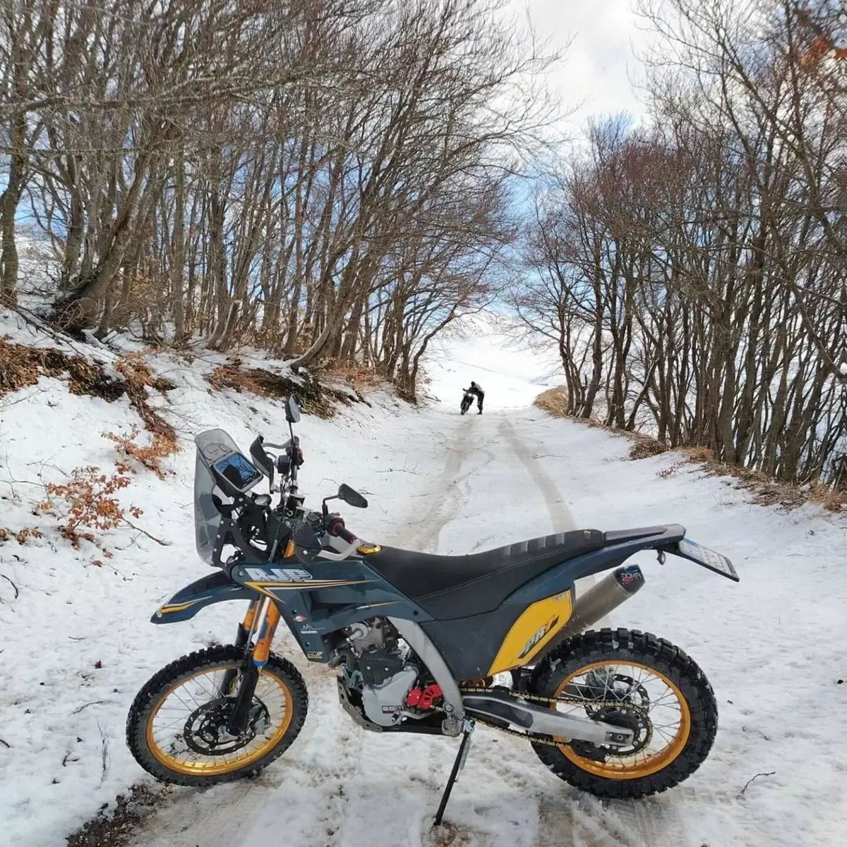 AJP PR7 650 Adventure Gold Edition (2025 - 26) (2)
