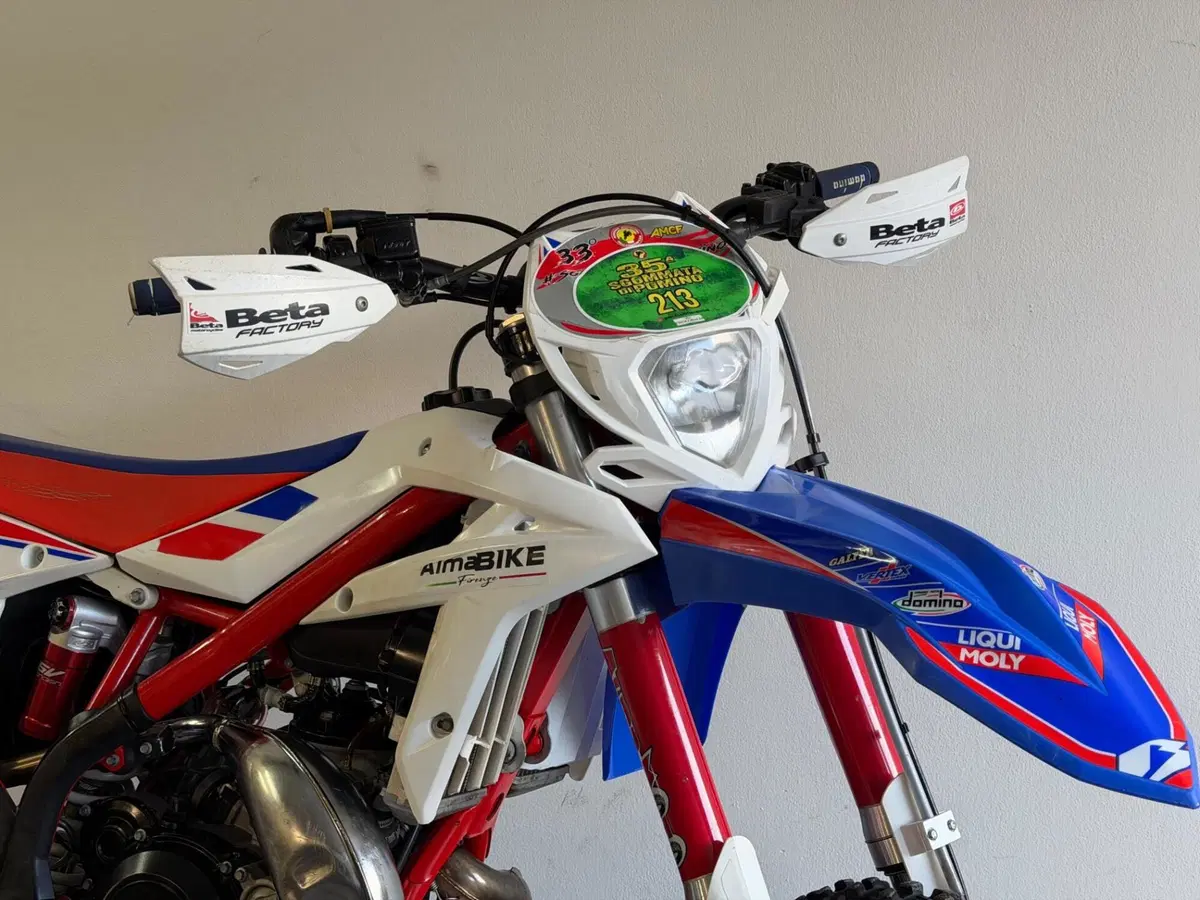 Betamotor Xtrainer 300 2t (2017) (2)
