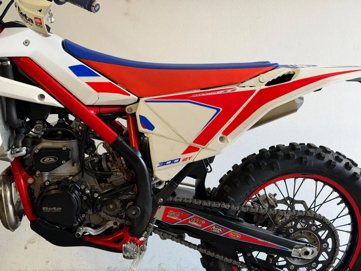 Betamotor Xtrainer 300 2t (2017) (8)