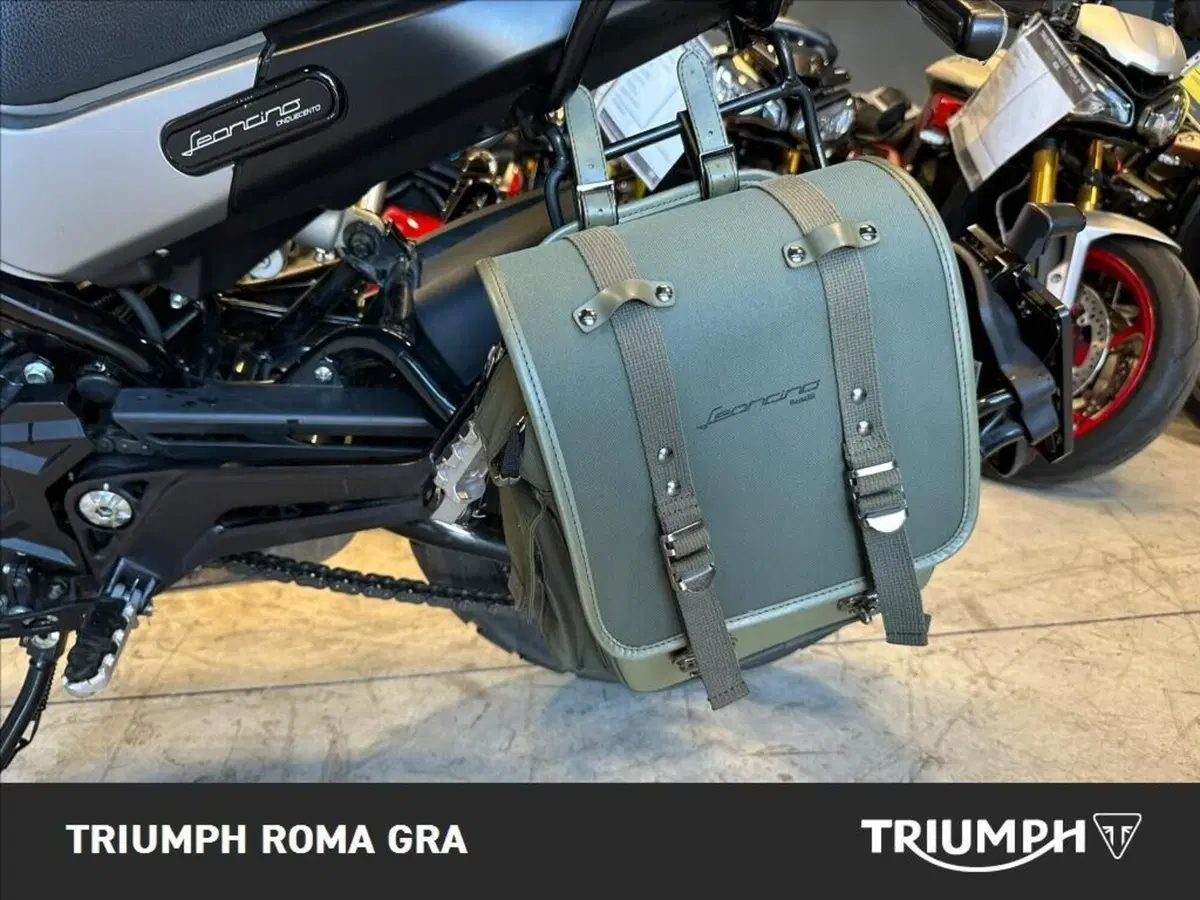 Benelli Leoncino 500 Trail ABS (2017 - 20) (10)