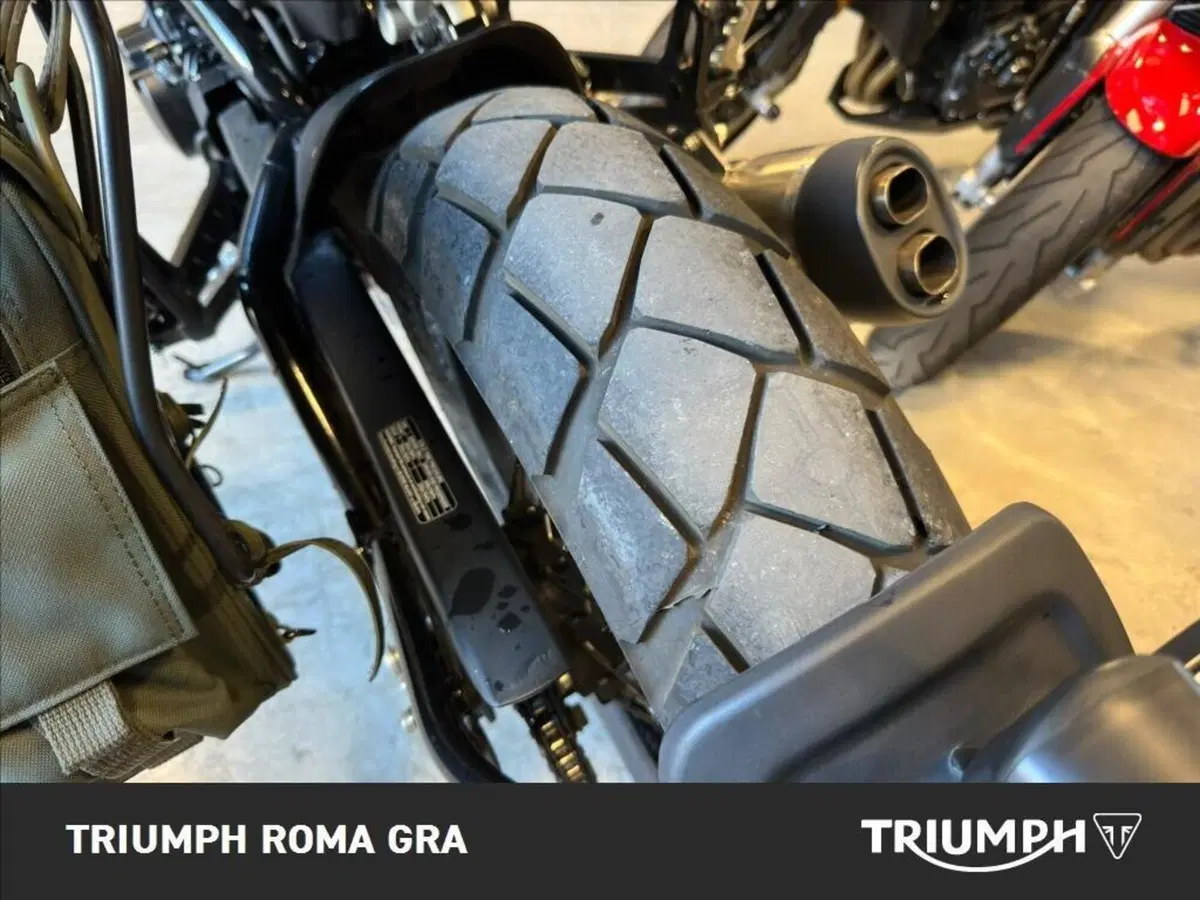 Benelli Leoncino 500 Trail ABS (2017 - 20) (22)