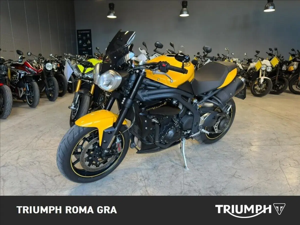Triumph Speed 94 R (2015 - 16) (2)