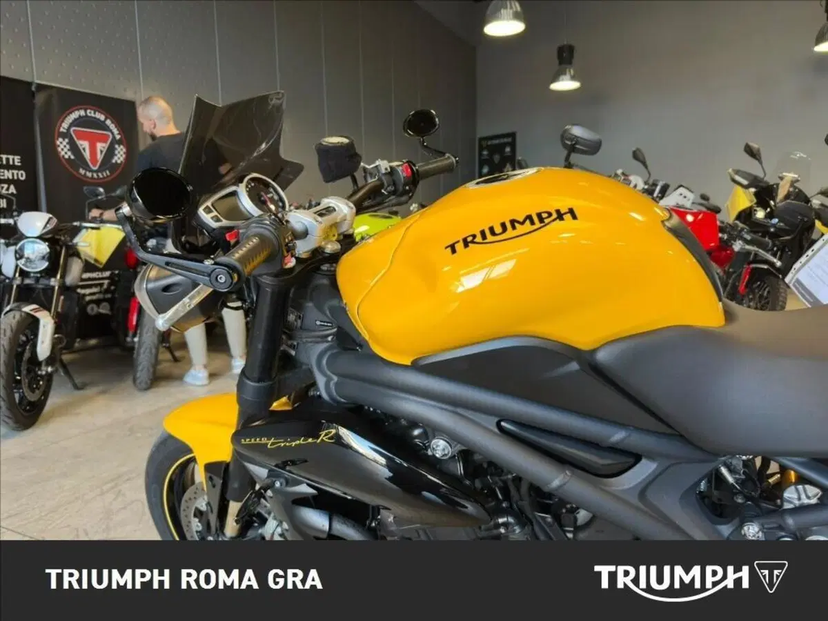 Triumph Speed 94 R (2015 - 16) (14)