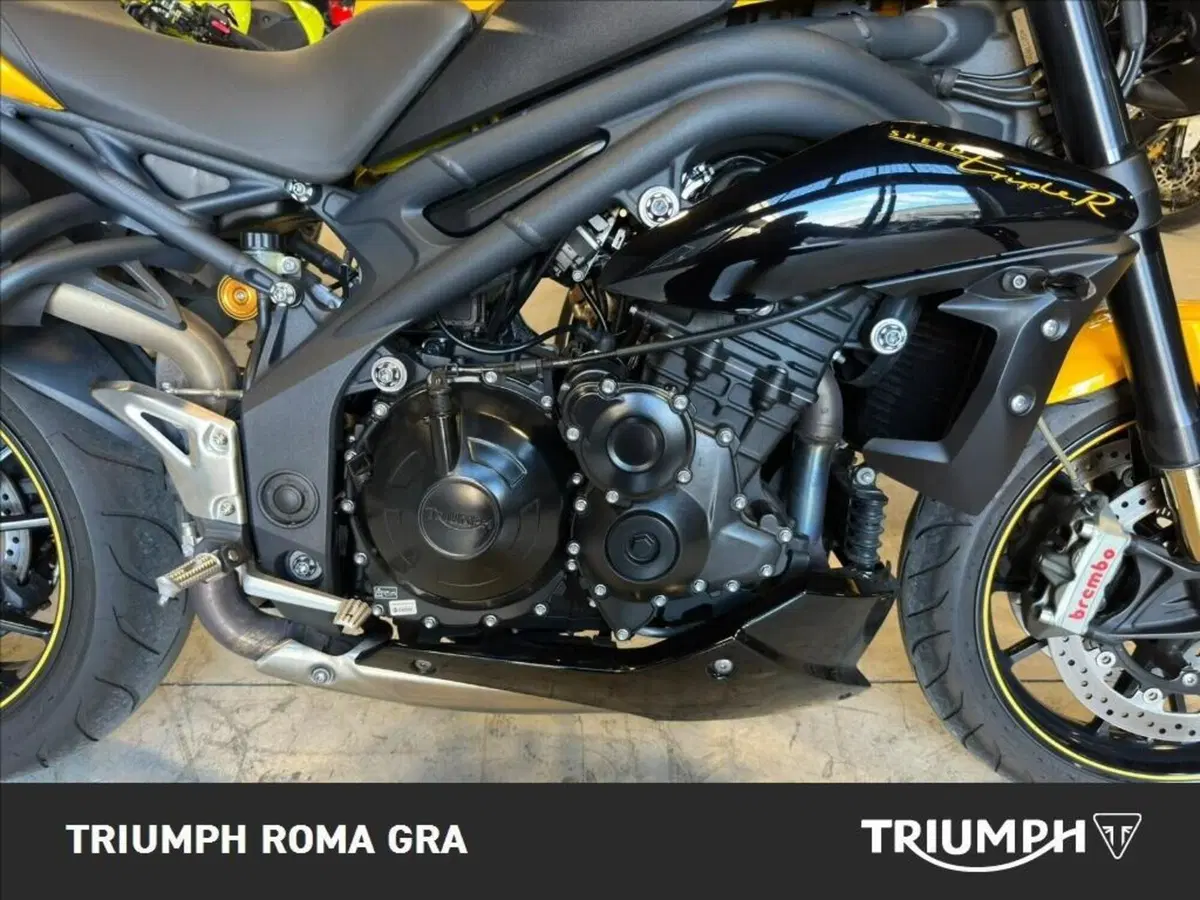 Triumph Speed 94 R (2015 - 16) (6)