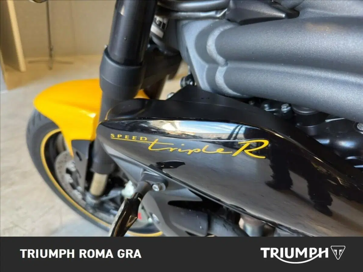 Triumph Speed 94 R (2015 - 16) (15)