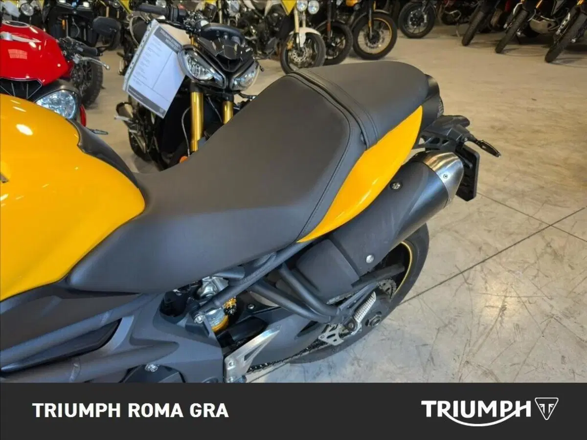 Triumph Speed 94 R (2015 - 16) (19)