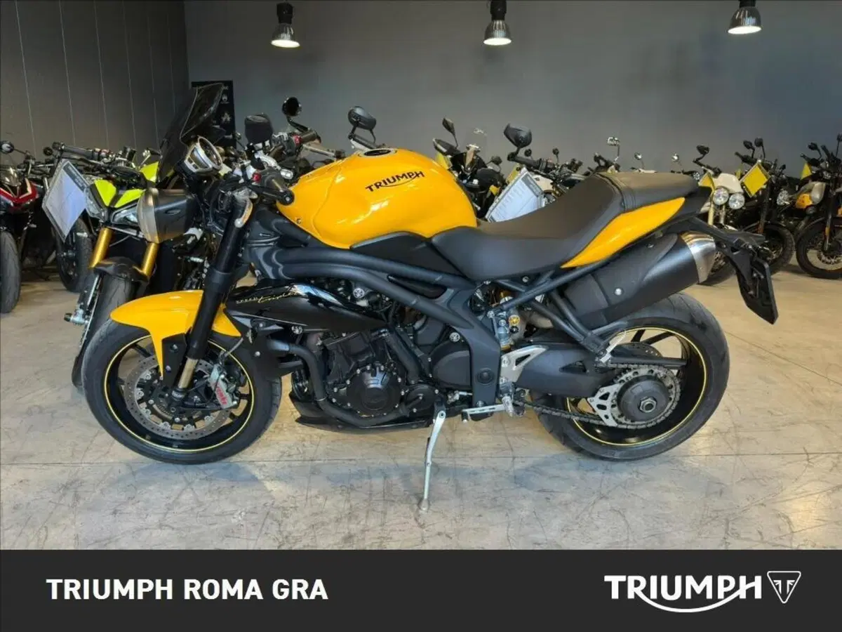 Triumph Speed 94 R (2015 - 16) (3)