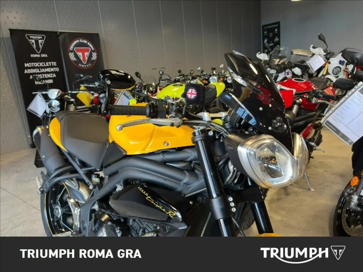 Triumph Speed 94 R (2015 - 16) (11)