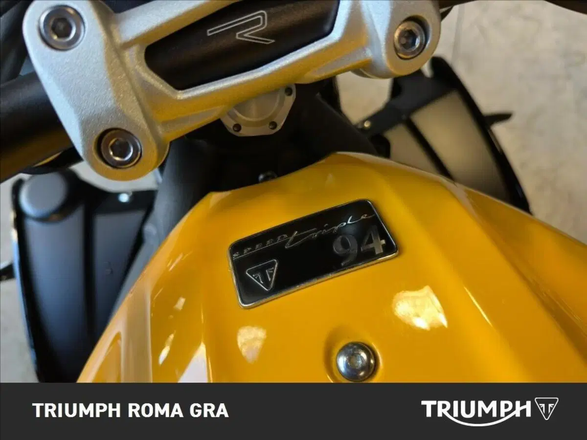 Triumph Speed 94 R (2015 - 16) (16)