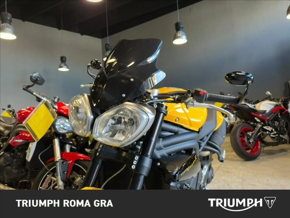 Triumph Speed 94 R (2015 - 16) (12)